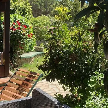 Angelo E Arcangela - Nuova Gestione 2022 *