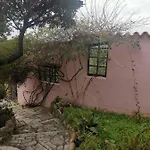 Bed & Breakfast Angelo E Arcangela - Nuova Gestione 2022 Telti