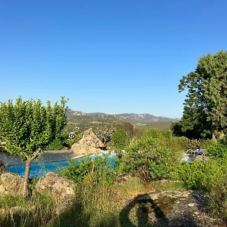 Angelo E Arcangela - Nuova Gestione 2022 Telti